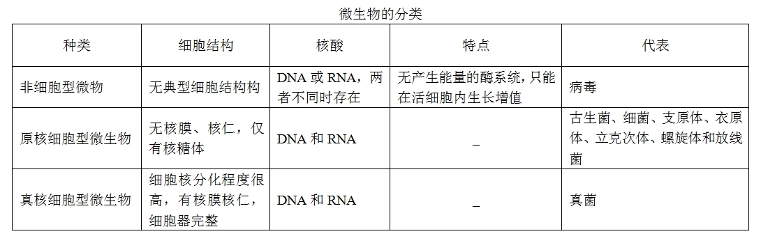 微生物的分类.jpg