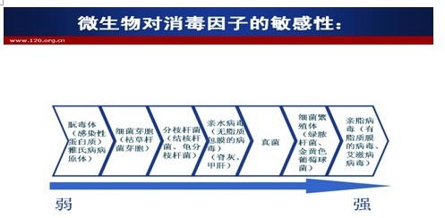 QQ图片20130617212613.jpg