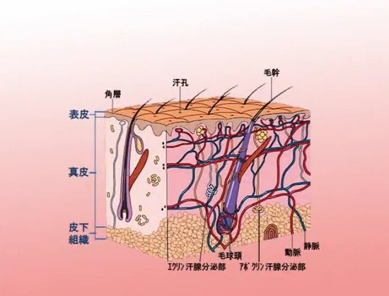 手卫生4.jpg