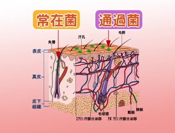 手卫生5.jpg