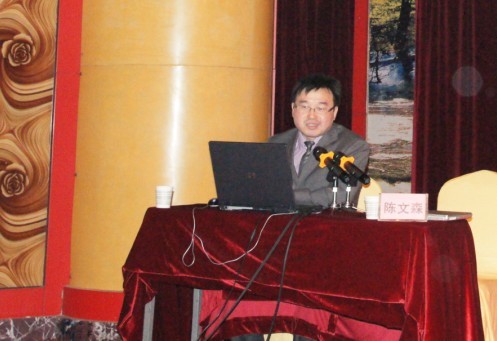 陈文森老师.jpg