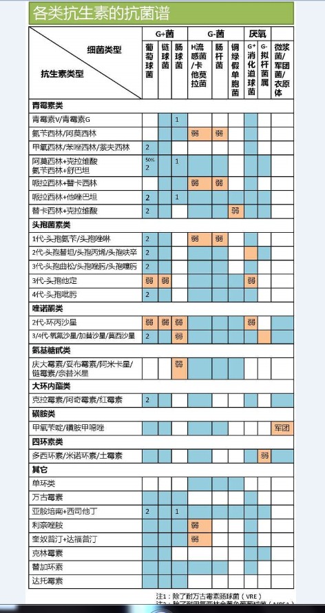 各类抗生素的抗菌谱