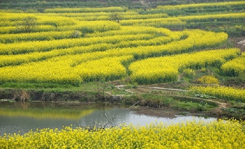 层层梯田