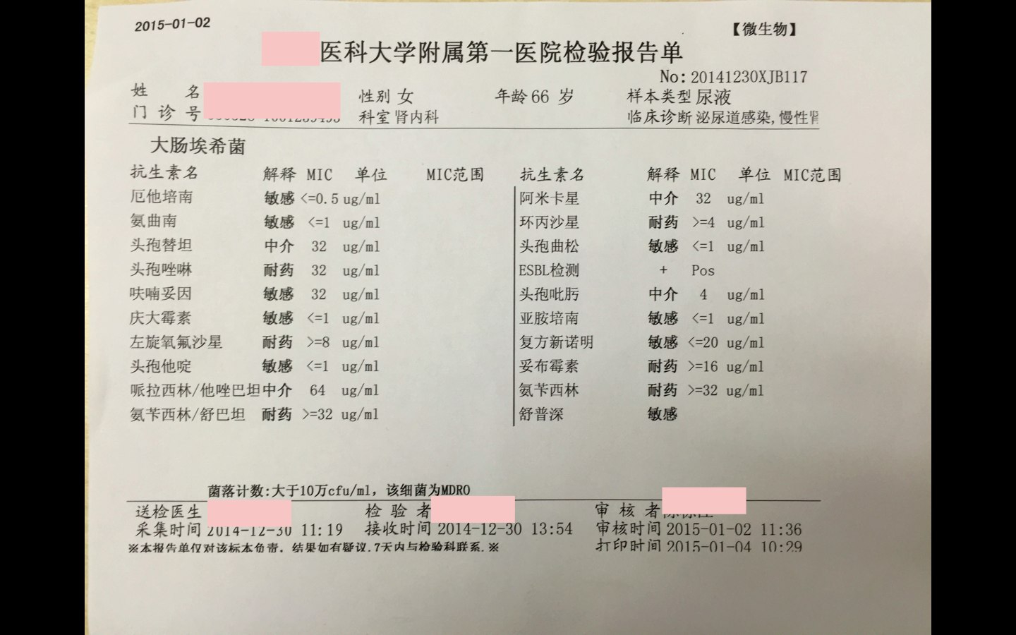 尿路感染-大肠杆菌-药敏结果-报告单.jpg