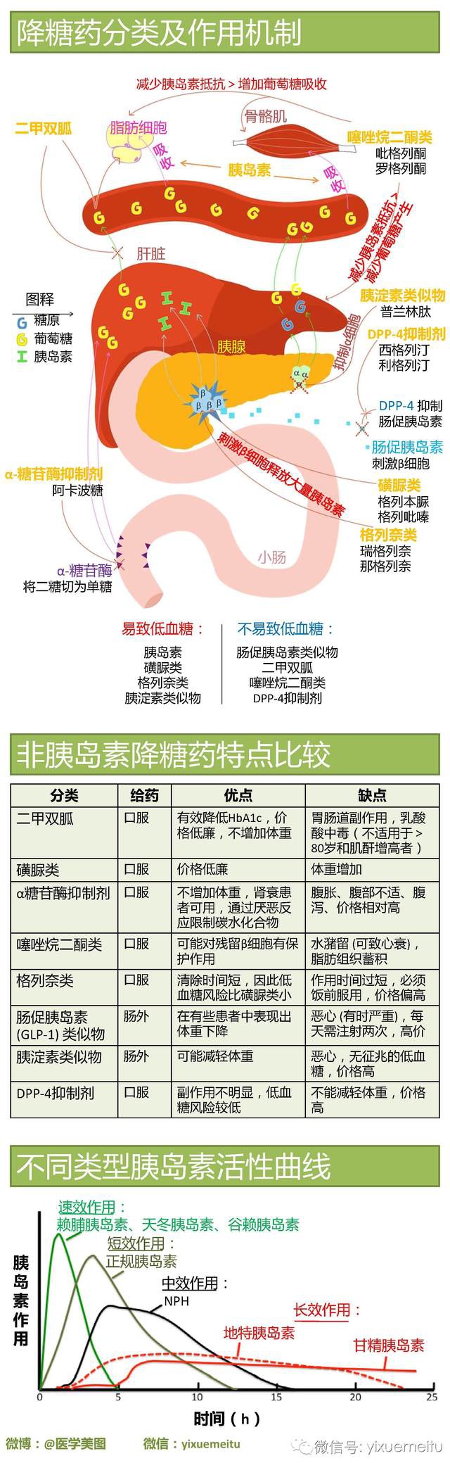 降糖药机理.jpg