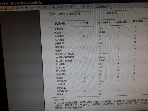 这张是微生物的报告，请老师帮我看看。