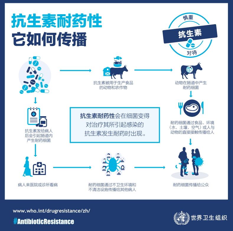 QQ图片20151112190646.png