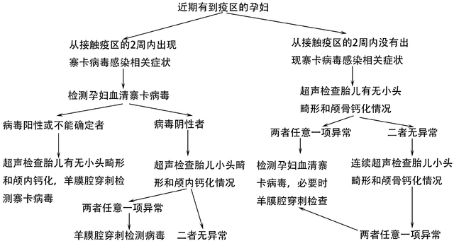 美国cdc发布了寨卡病毒爆发期间的孕妇临时管理指南，具体流程.jpg