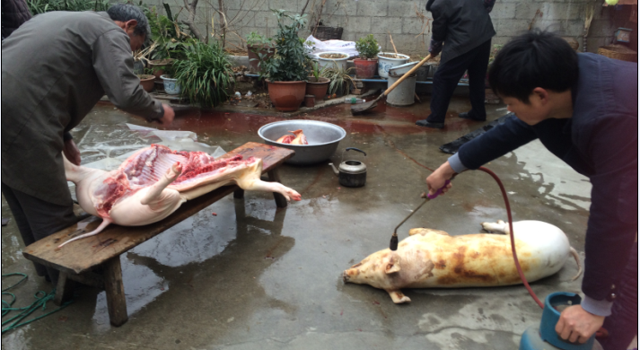 杀年猪——过年家家户户都会杀猪，灌香肠、腌腊肉、腌火腿（可惜照片有限制，不能一一上传）