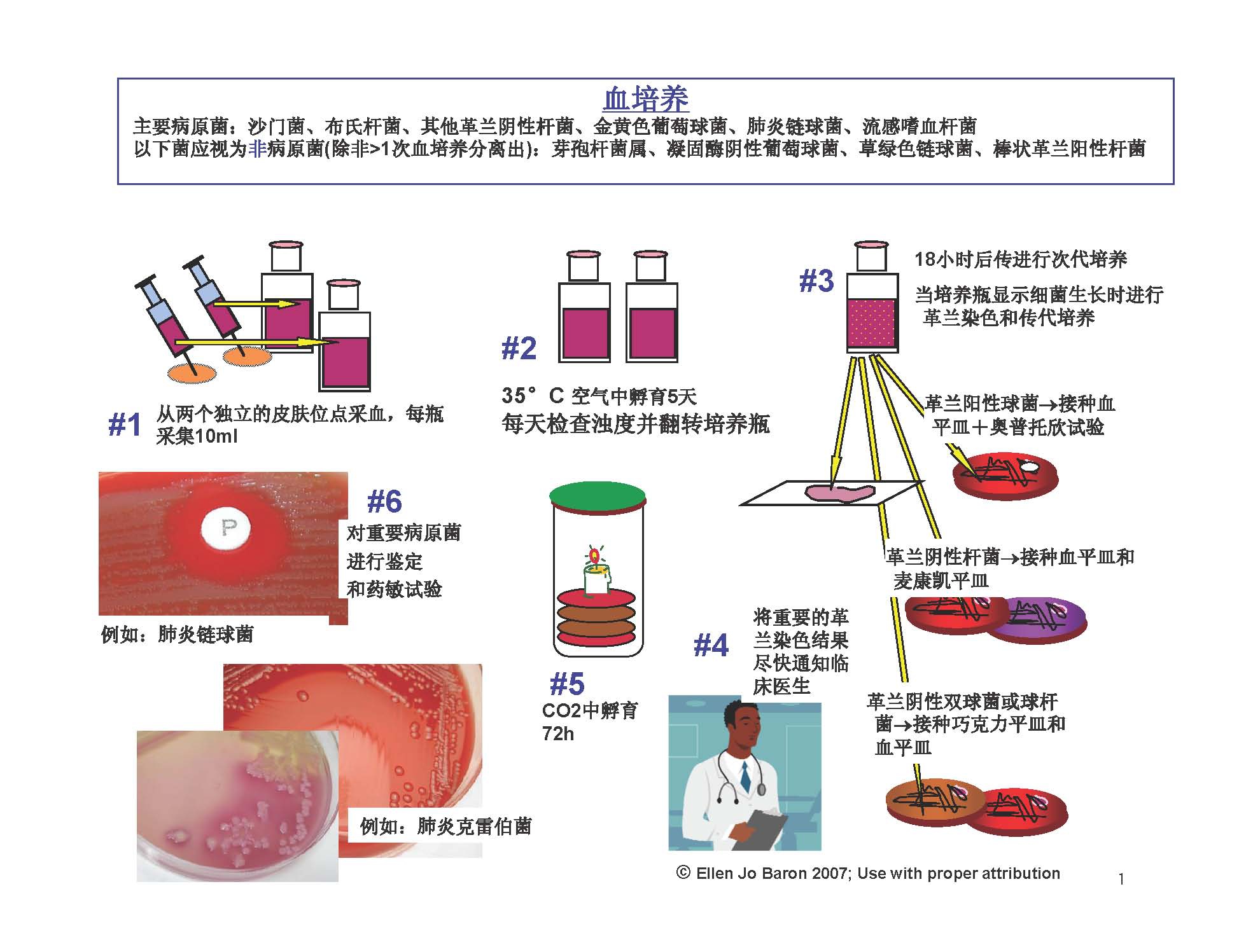 临床微生物基础操作规程.pdf.gzip_页面_03.jpg