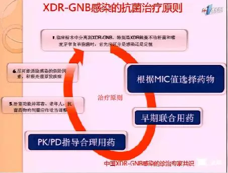 泛耐药革兰氏阴性杆菌（XDR-GNB）感染的抗菌精准治疗