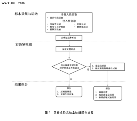 QQ图片20160816093234.png