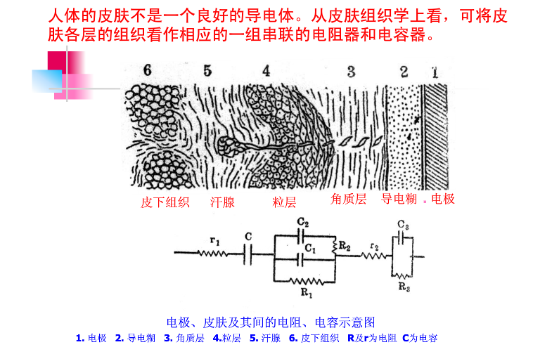 心电图皮肤处理1.png