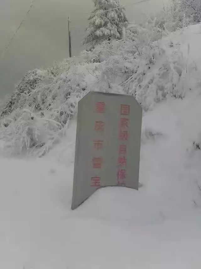 重庆市雪宝山.jpg