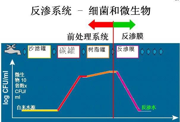 反渗水细菌_看图王 (1).jpg