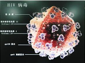 流感，HIV，带状疱疹