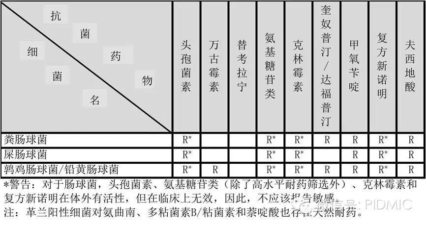 肠球菌天然耐药表格