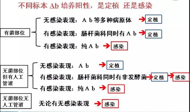 不同标本AB培养阳性，是定植还是感染.jpg