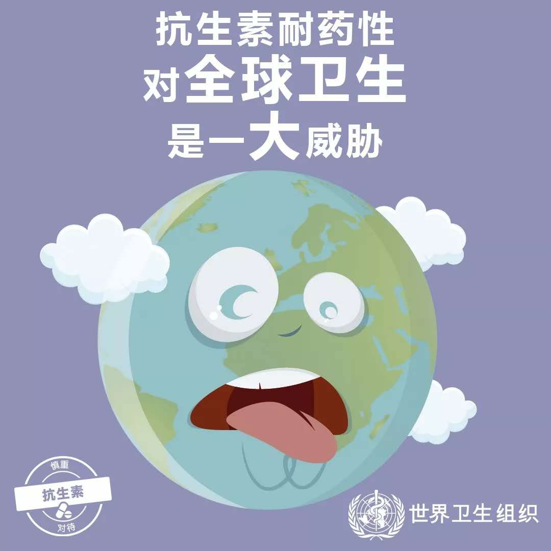 微信图片_20171113151350.jpg