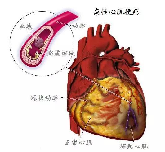 微信图片_20180302081516.jpg