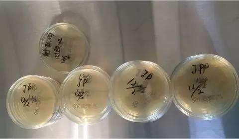 微信图片_20180331162809.jpg