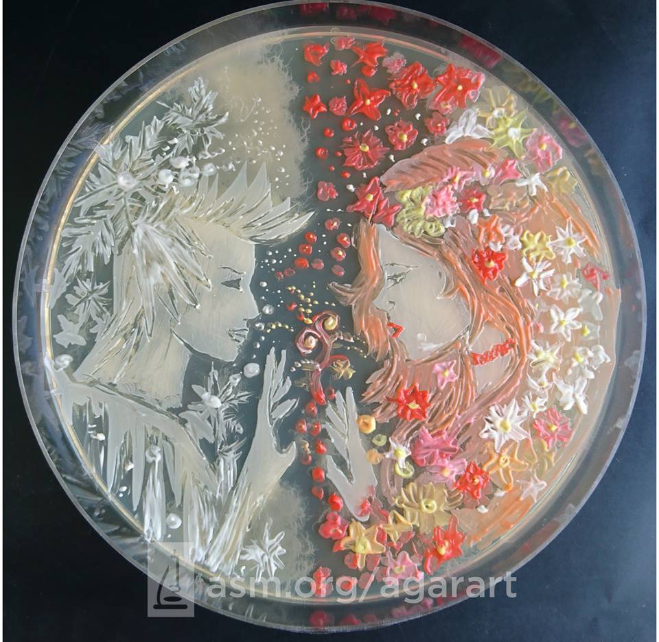 agarart1.jpg