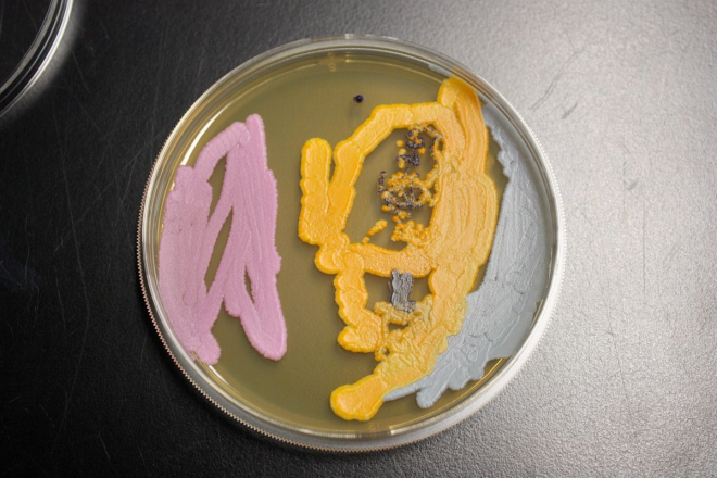 agarart90.png