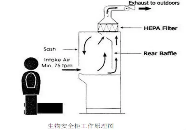 QQ截图20180803081727.png