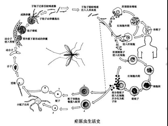 微信图片_20180822080111.jpg