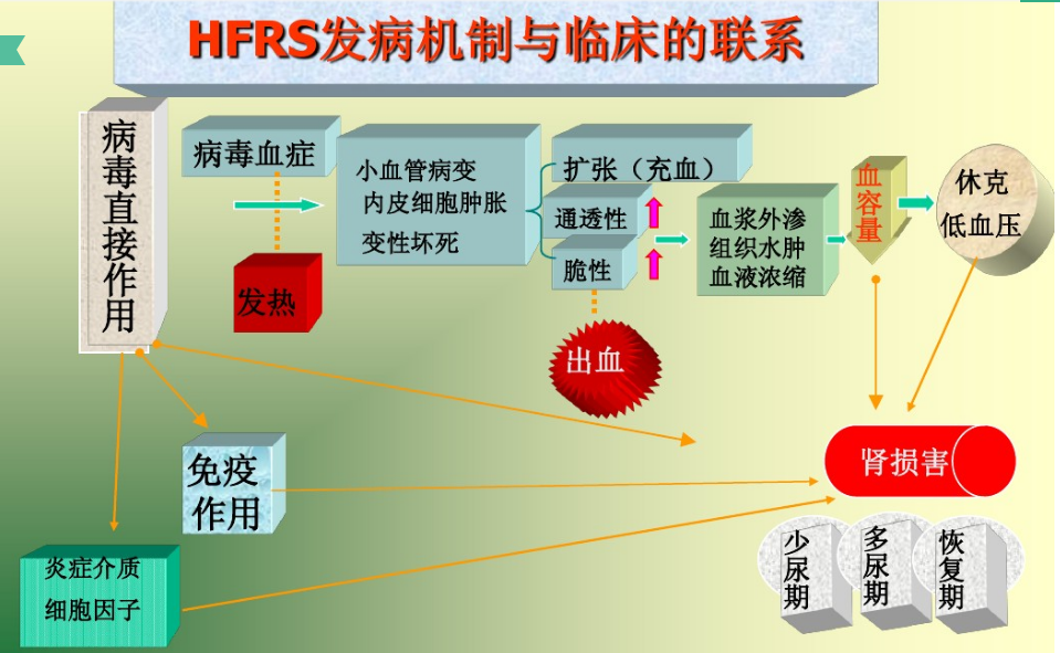 QQ截图20190123081954.png