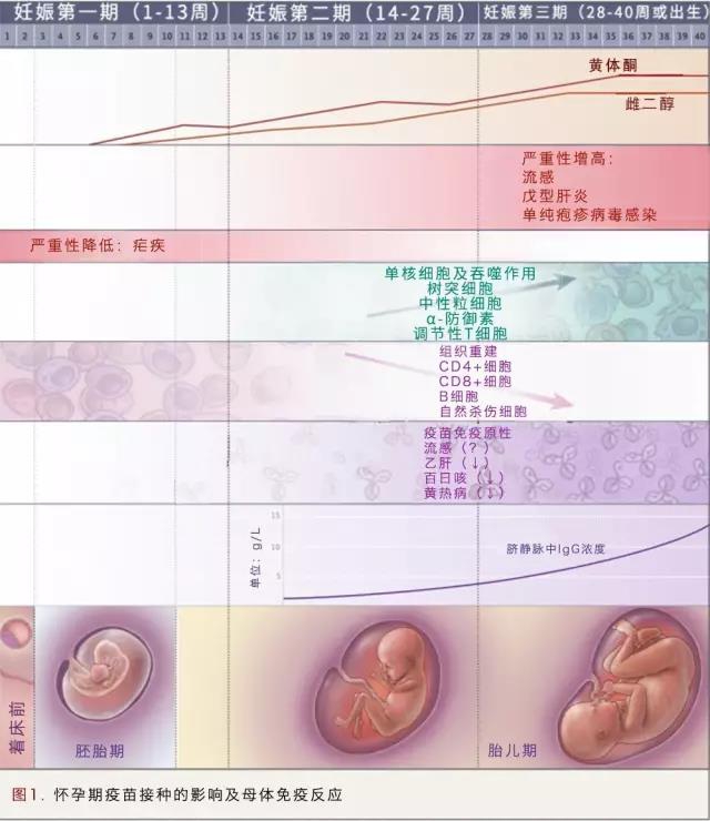 微信图片_20190309210932.jpg