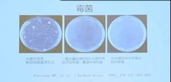 微信图片_20190321203015.jpg