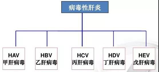 微信图片_20190809220719.jpg