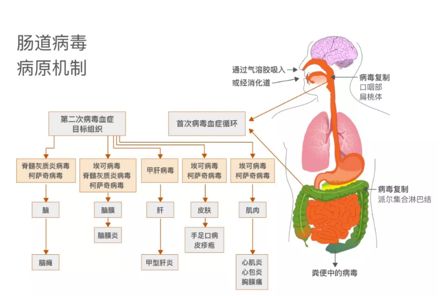 QQ截图20190912172959.png