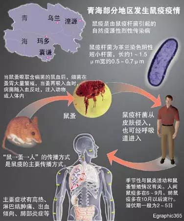 微信图片_20191203204151.jpg