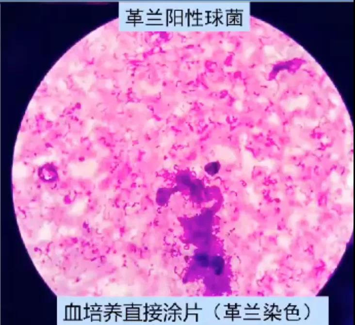 微信图片_20210820213845.jpg