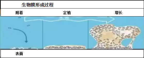 微信图片_20230510193754.png