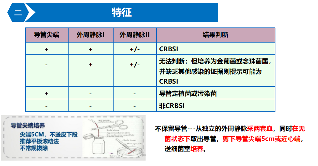 导管.png