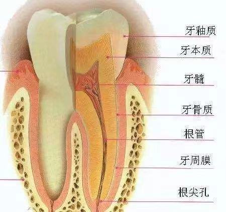 微信图片_20240711120128.jpg