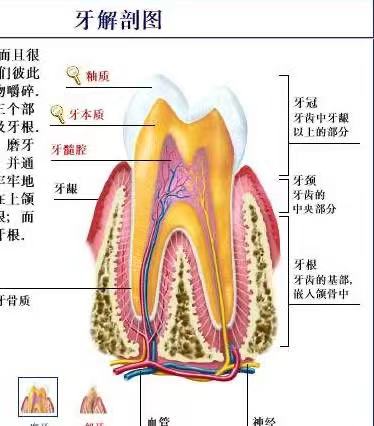 微信图片_20240711120136.jpg