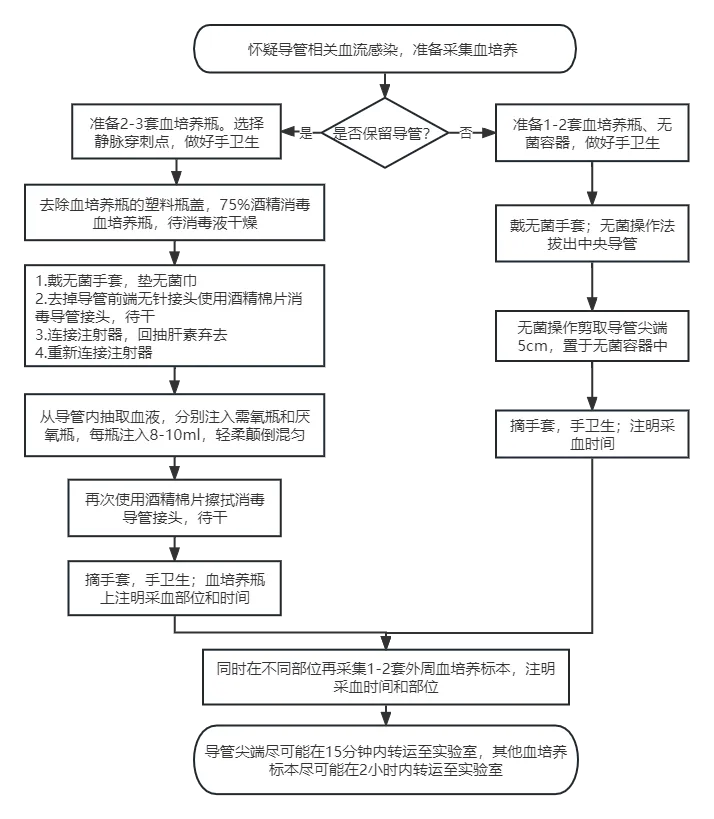 怀疑导管相关血流感染？这样采集标本！