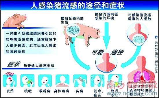 人感染甲型流感的途径和症状