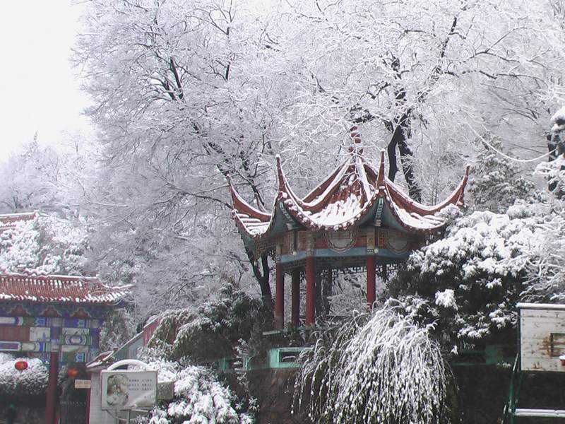 医院雪景.jpg