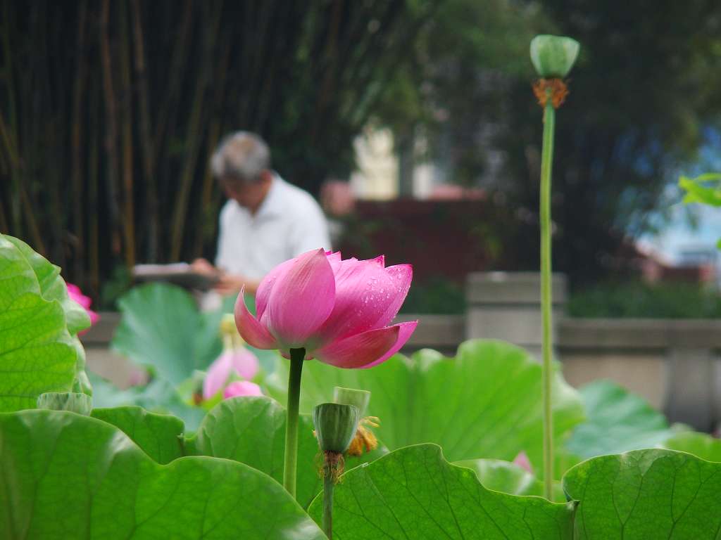 DSC047.jpg