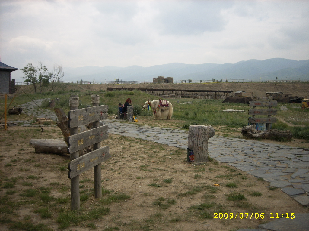 SPA56374.JPG
