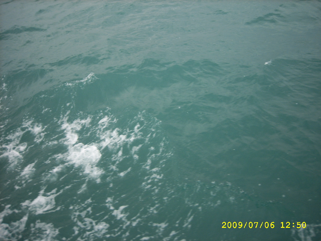 SPA56443.JPG
