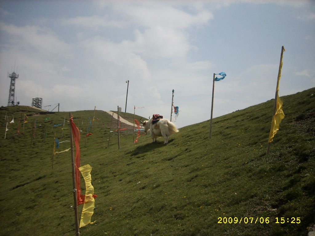 SPA56475.JPG