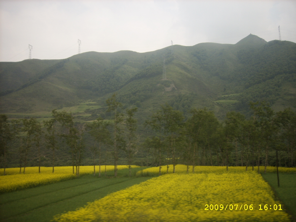 SPA56499.JPG