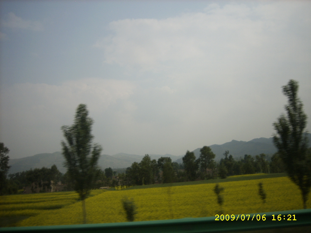 SPA56517.JPG