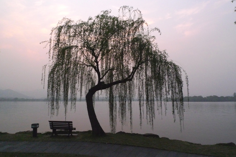 贴出来一饱眼福